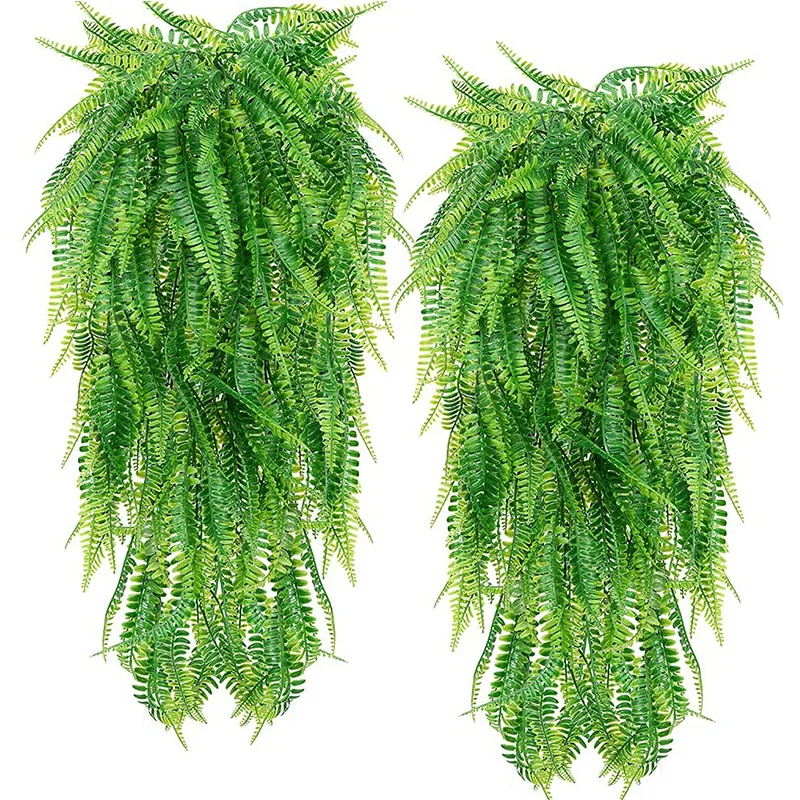 guirlande plante verte suspens mur botanique feuilles fougère marron rouille décoration intérieure ambiance naturelle
