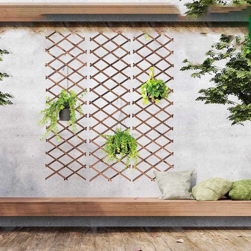treillis extensible plantes grimpantes bois rustique jardin fleurs blanches bleues
