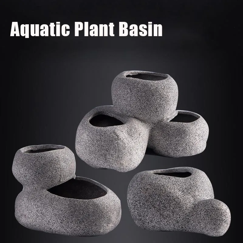 décoration naturelle aquarium pierreux céramique plantes aquatiques gravier bassin rocheux harmonieux intégré