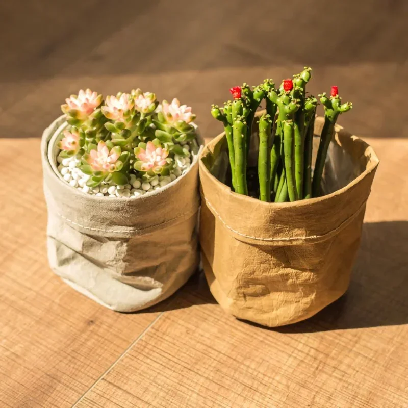 cache pot papier kraft réutilisable adaptable plantes moderne écologique minimaliste texture froissée aspect texturé