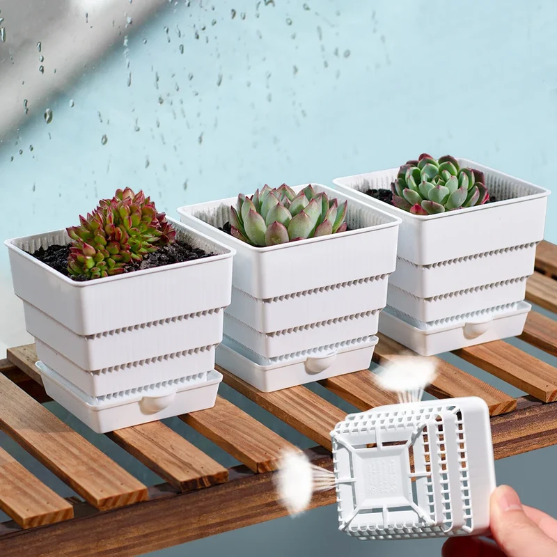 Lot de 40 pots en plastique pour succulentes avec trous de drainage 10 cm