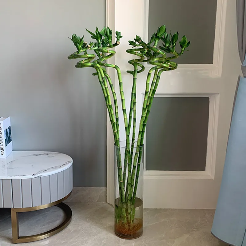 décoration intérieure bambou artificiel hauteur 110cm deux pièces feuillage vert éclatant vases variés asiatique