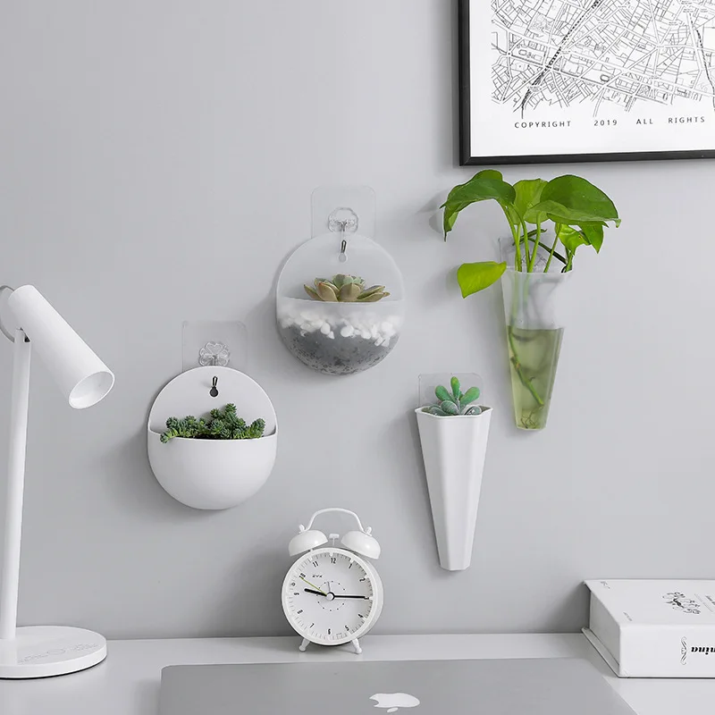 jardinière murale suspendue transparente pot opaque moderne minimaliste adhésif crochet succulente plante verte terreau