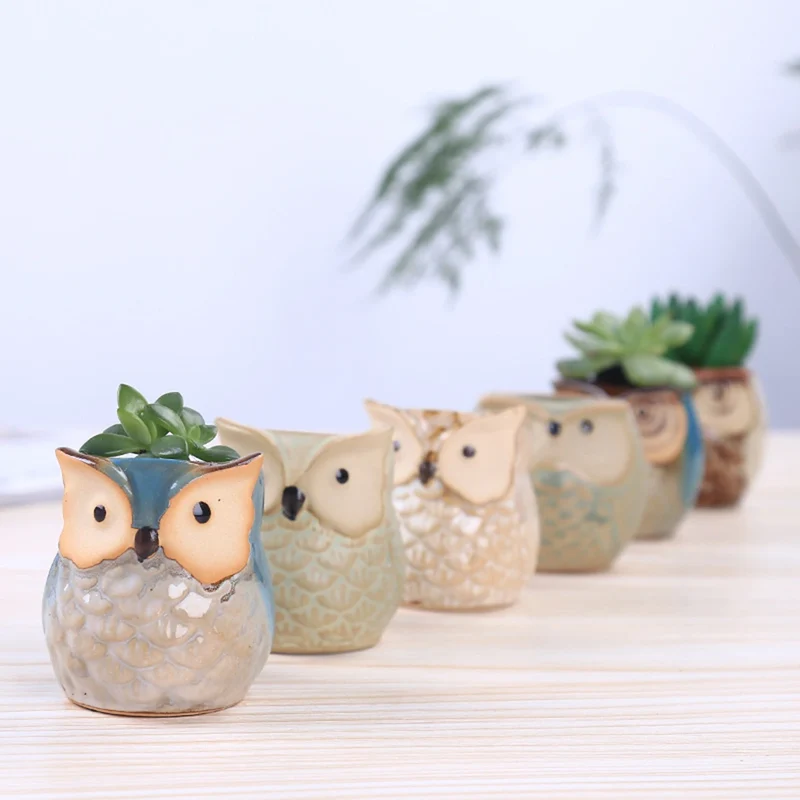 Cache-pot céramique hibou mignon pour succulentes - Décoration bureau et intérieur vert, blanc, bleu