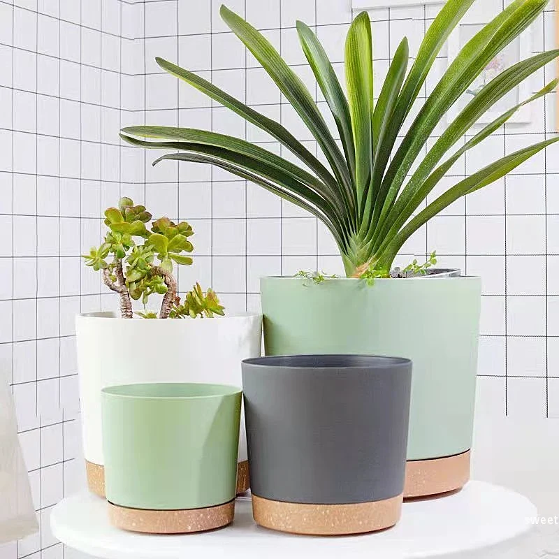 Pot de fleur intérieur circulaire avec plateau de drainage - Décoration plante succulente et bonsaï