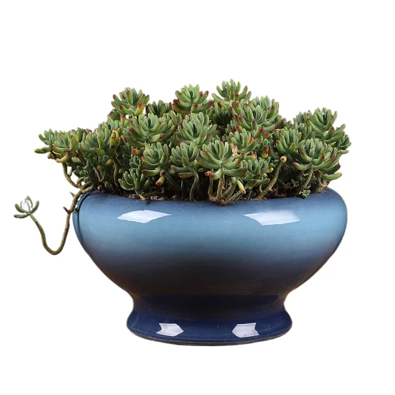 pots fleurs céramique moderne succulentes bleu blanc gris violet marron surface lisse haute qualité