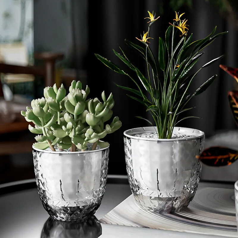 jardinière hydroponique transparente diamantée autoarrosante moderne intérieur plante herbe aromatique