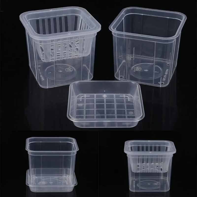 pots transparents modernes plantes hydroponie grilles internes lisses intérieur ornemental