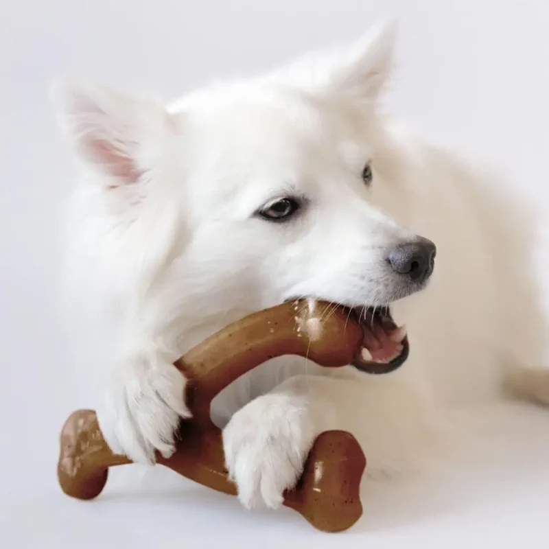 Jouet à Mâcher Ultra-Robuste pour Chien