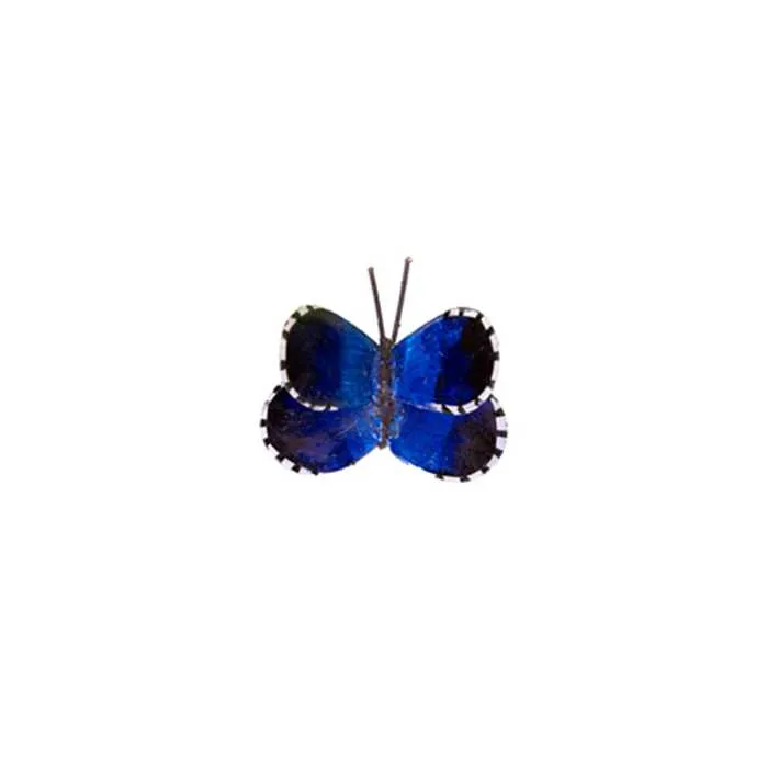 PAPILLON AZURÉ DU MIDI A FIXER