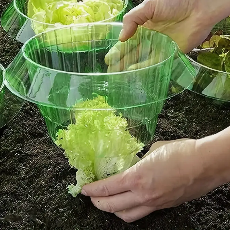 Collier Anti-Escargot Réutilisable pour Plantes