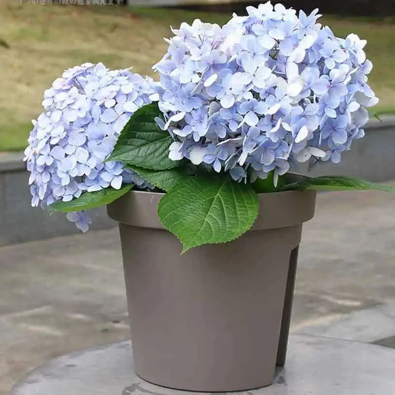 Pot de Fleur Créatif avec Fente pour Balcon