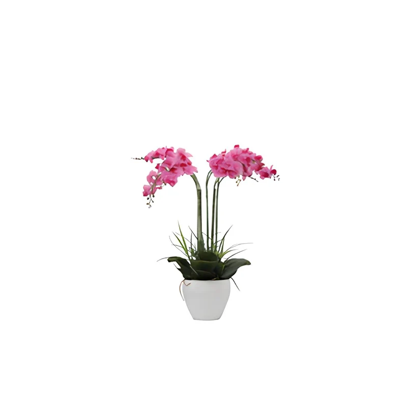 ORCHIDEA C/VASO BIANCO 60 CM