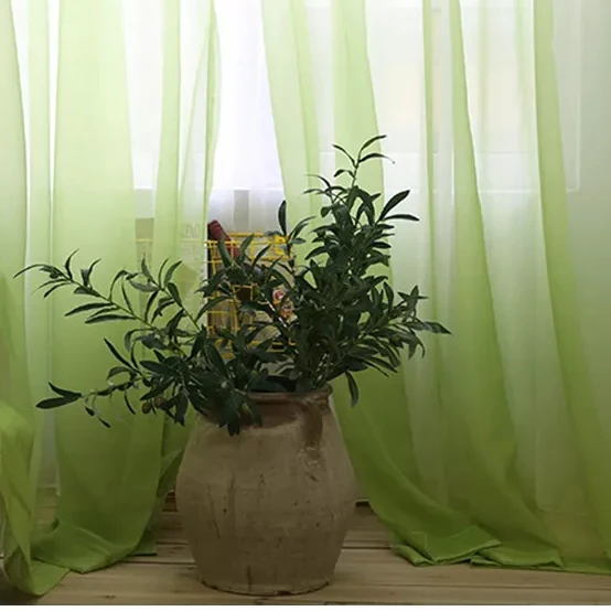 Rideaux Baie Vitrée Transparents et Vert Dégradé