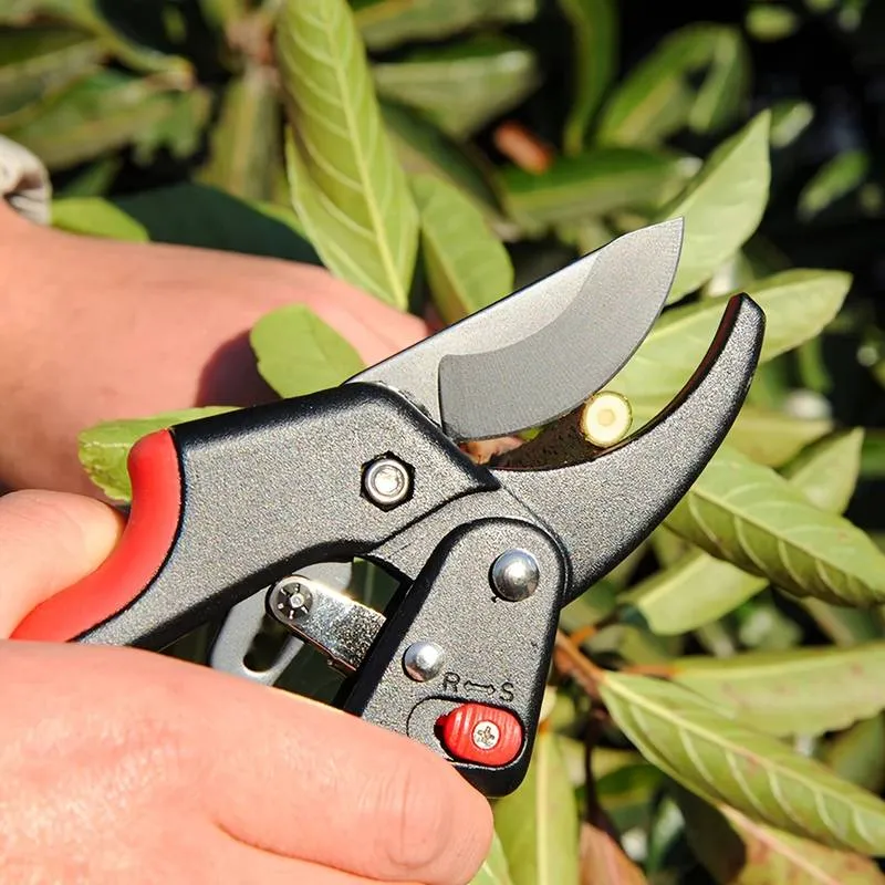 Sécateur de Jardin Multifonction Robuste pour Plantes