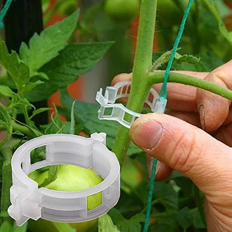 Clips de Support Réutilisables Pratiques pour Plantes