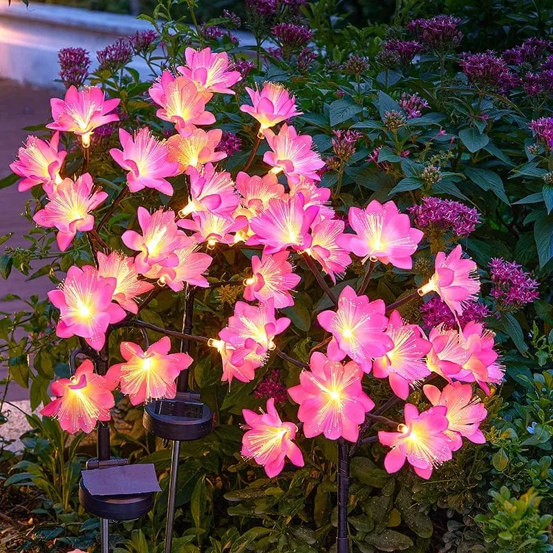 Lampe Solaire Fleurie Éclatante