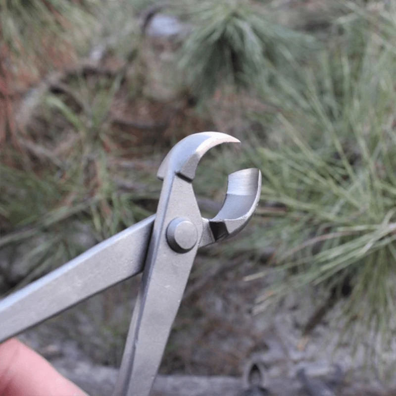 Pince concave Ultra-Précise Robuste