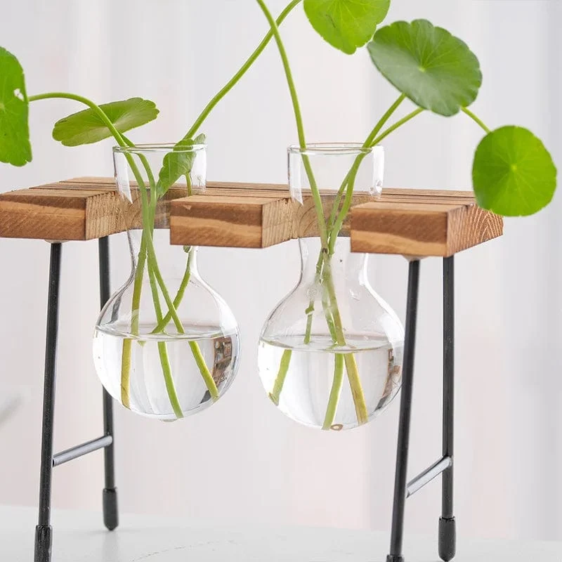Pot de fleur vintage pour terrarium hydroponique