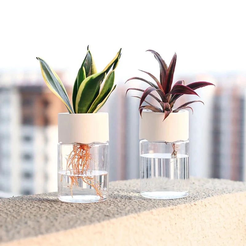 Vase en plastique hydroponique Minimalistes
