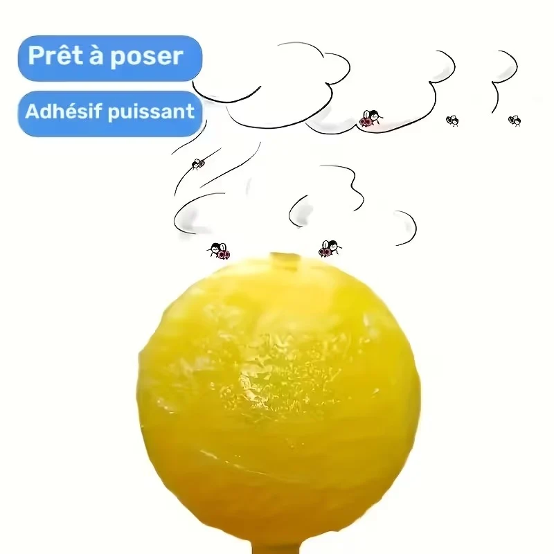 Lot de 12 balles attrape-mouches adhésives