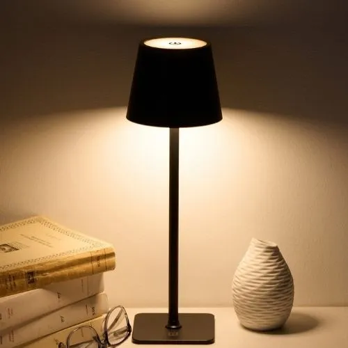 Lampe de table DEL rechargeable Ricardo