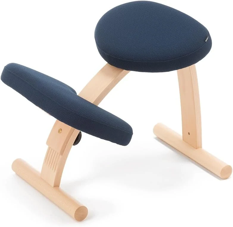 Balance Lab Balance Easy balance chair 147BN004 Navy Made in Japan