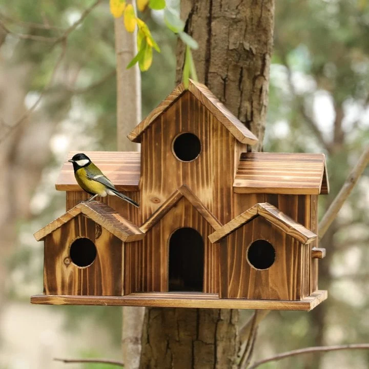 BirdHouse - Nichoir Fonctionnel pour Petits Oiseaux