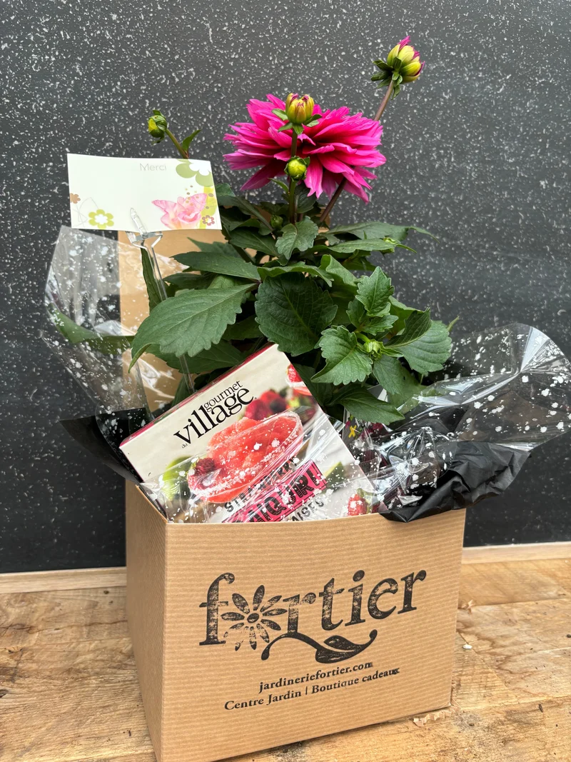 Boite cadeau fleurie Dalhia ROSE pour adjointes administratives