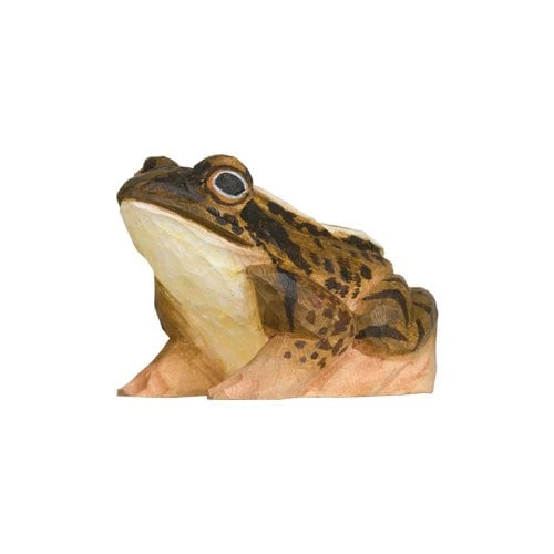 GRENOUILLE DES CHAMPS