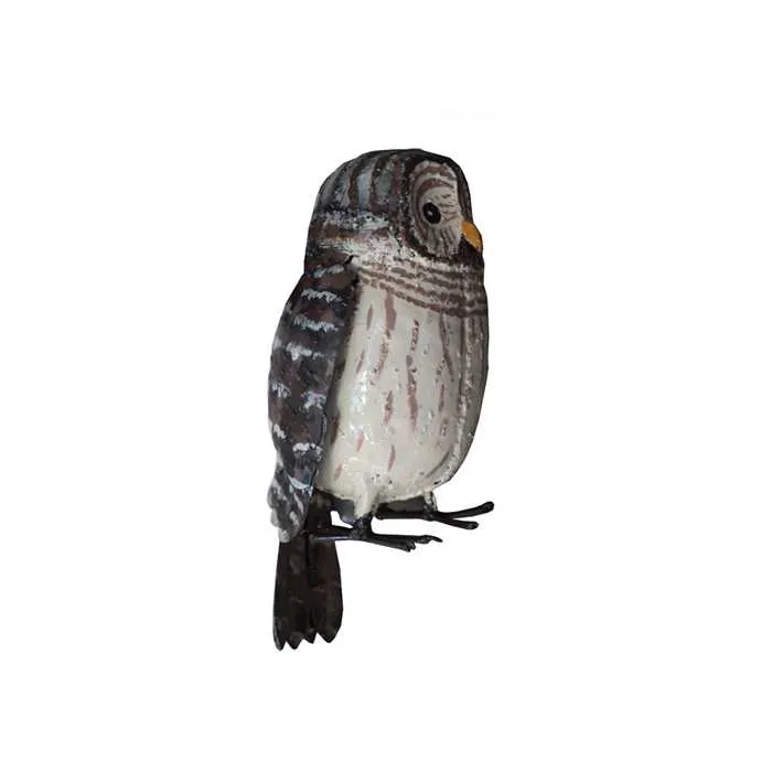 CHOUETTE EFFRAIE - MOYENS OISEAUX