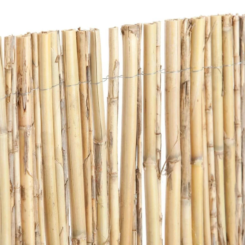 Canisse entière naturelle Excelcane 1x5 M Nortene