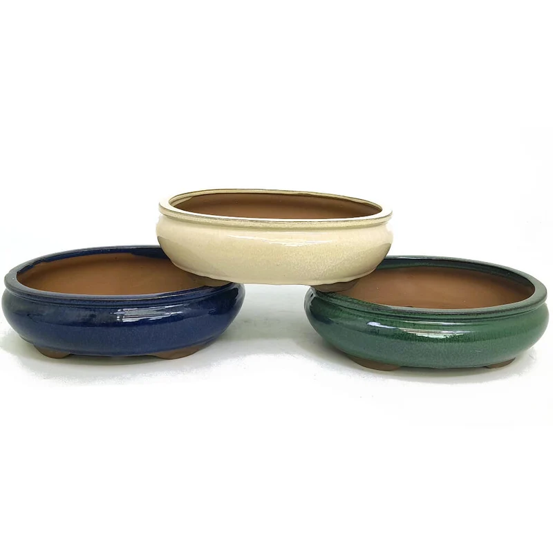 Pot à Bonsaï Oval 26cm avec Soucoupe