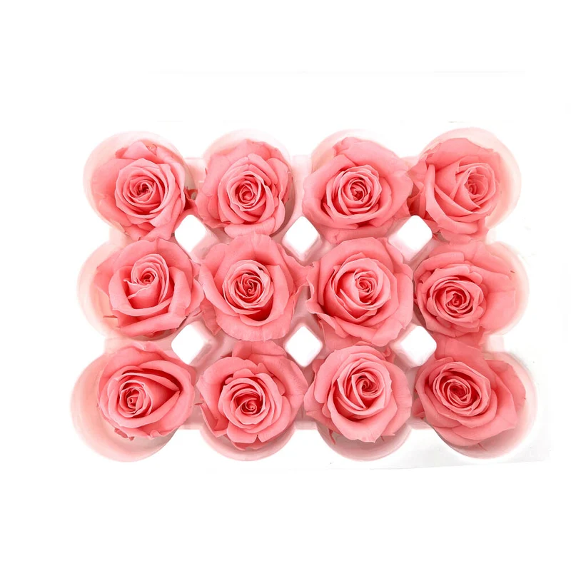 Mundo Eterno Roses Stabilisées Roses 12 Unités 4cm