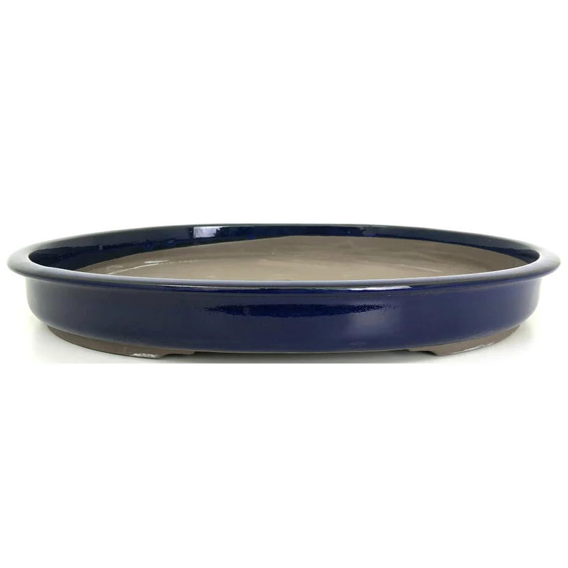 Pot à bonsaï ovale bleu 48x5cm
