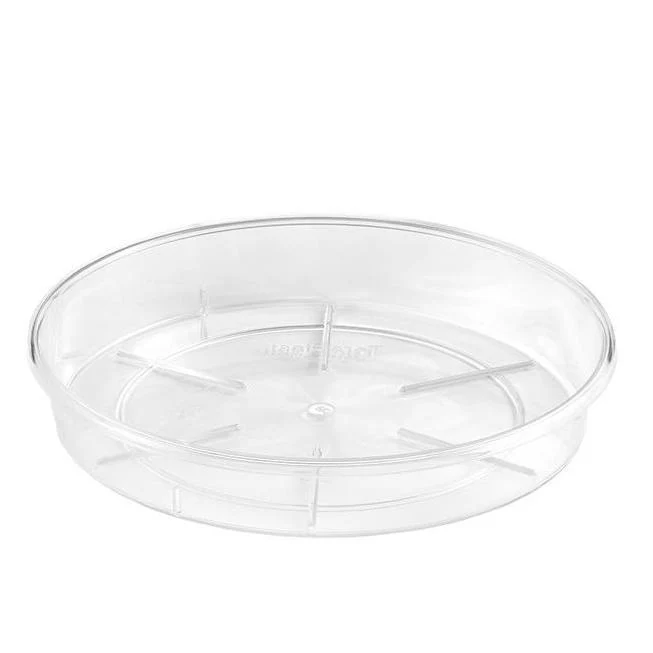 Assiette Ronde Transparente ⌀12