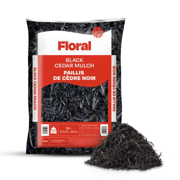 Floral paillis de cèdre noir 2pi cube