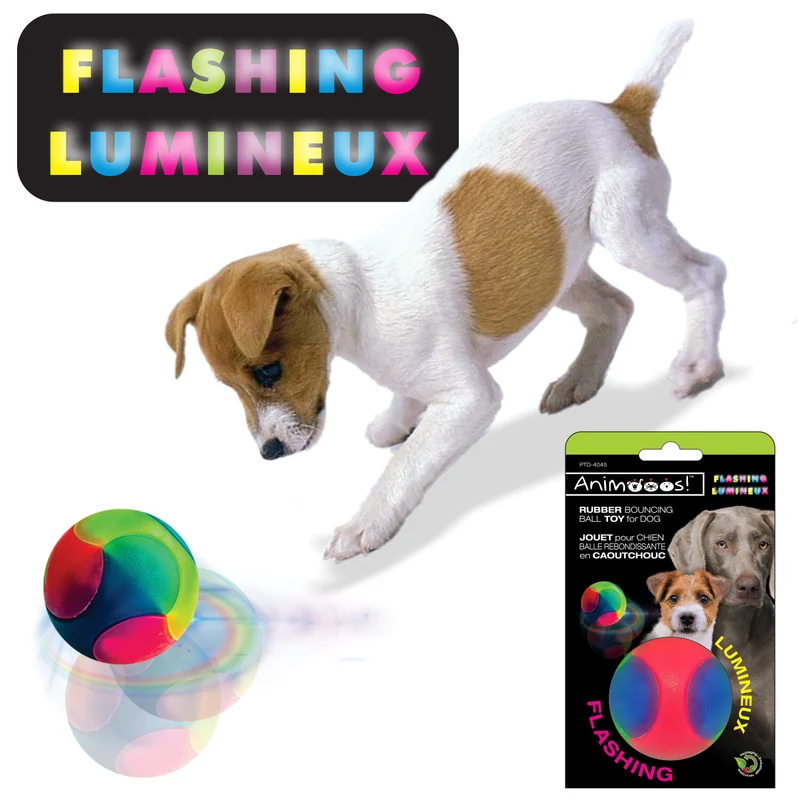 Animooos jouet pour chien