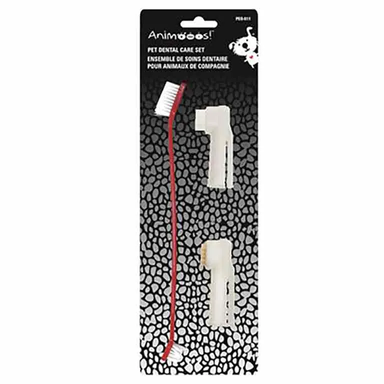 Brosses à dents pour chien (animaux de compagnie)