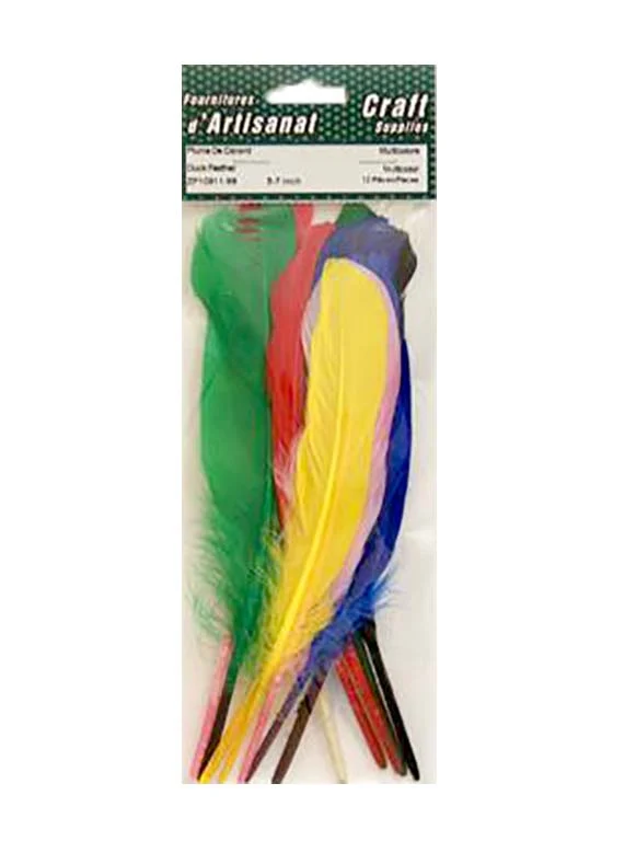 Plumes 5-7 po. multicolores