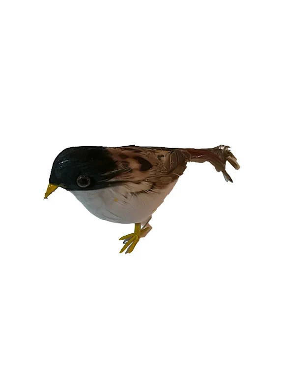 Oiseau décoratif, plumes noires, brunes