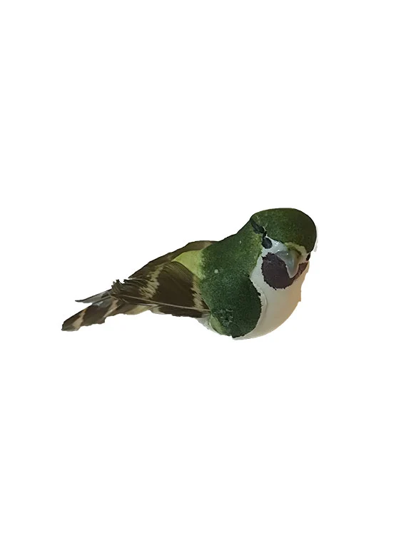 Oiseau décoratif, plumes vertes