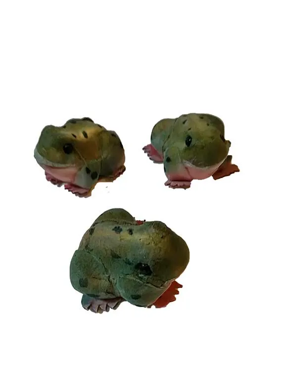 Grenouilles décoratives