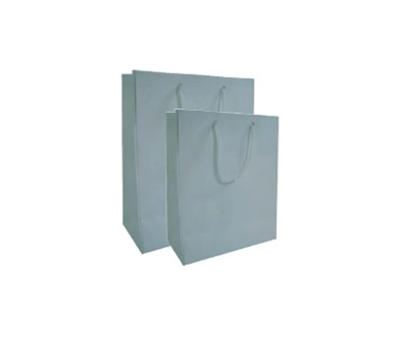 Sac cadeau - argent brillant