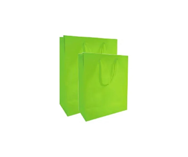 Sac cadeau - vert pomme