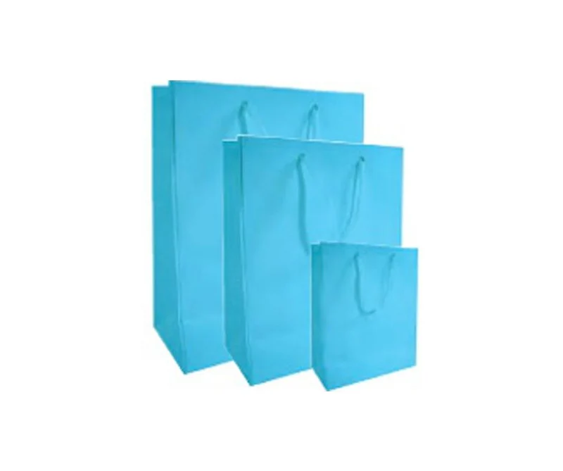 Sac cadeau - bleu ciel