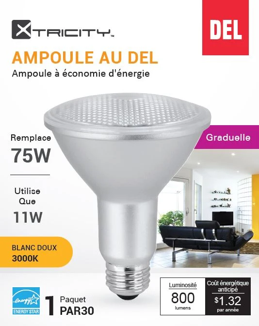 Ampoule DEL PAR30 11W 3000K