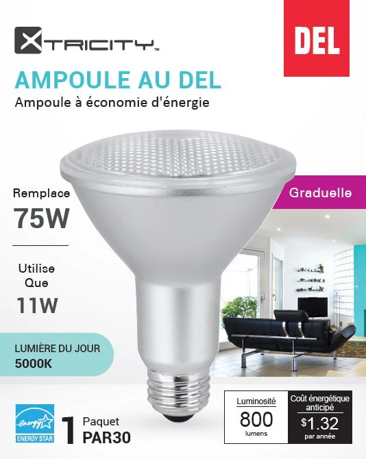 Ampoule DEL PAR30 11W 5000K